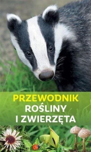 Przewodnik. Rośliny i zwierzęta