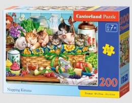 Puzzle 200 Napping Kittens CASTOR