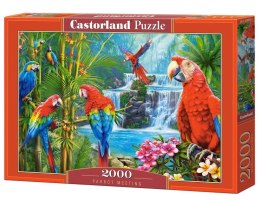 Puzzle 2000 Parrot Meeting CASTOR