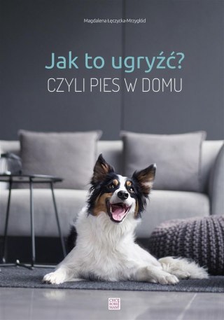 Jak to ugryźć? Czyli pies w domu w.2020