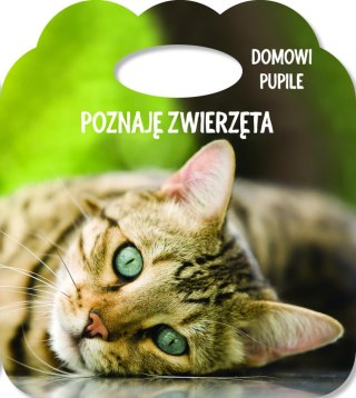 Poznaję zwierzęta. Ks. z uszkiem - Domowe pupile