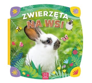 Zwierzęta na wsi