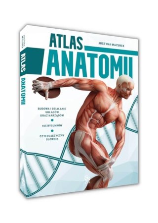 Atlas anatomii