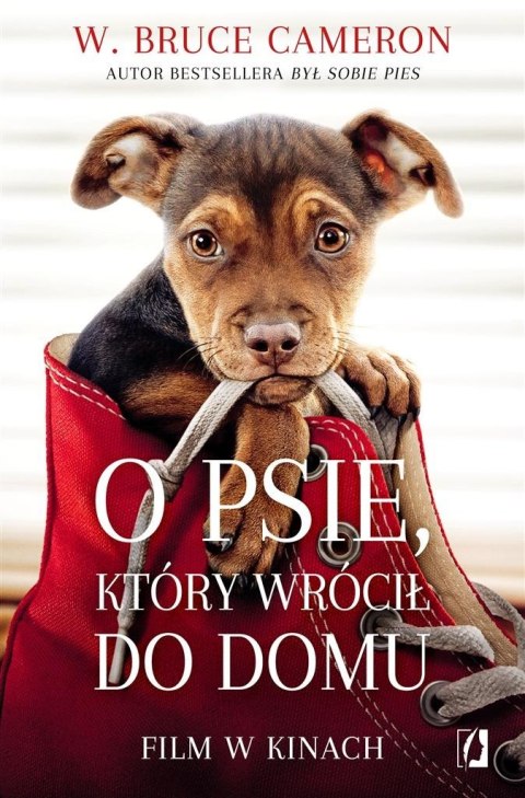 O psie, który wrócił do domu O psie, który wrócił do domu
