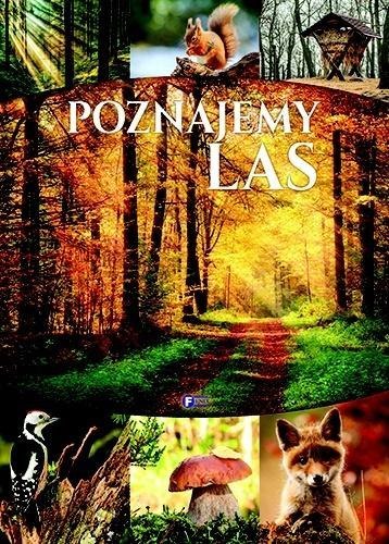 Poznajemy las TW FENIX