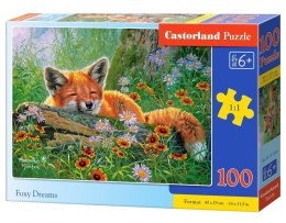 Puzzle 100 Foxy Dreams CASTOR