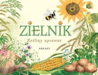 Zielnik. Rośliny uprawne