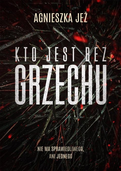 Kto jest bez grzechu Agnieszka Jeż