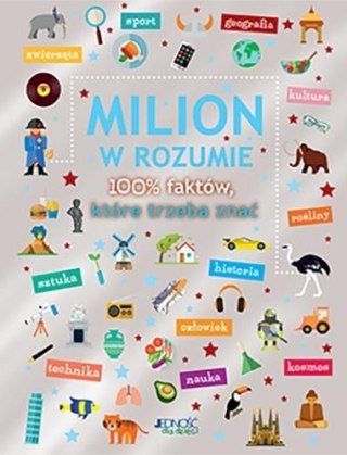 Milion w rozumie