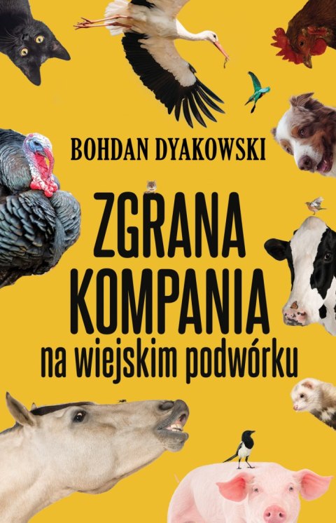 Zgrana kompania. Na wiejskim podwórku