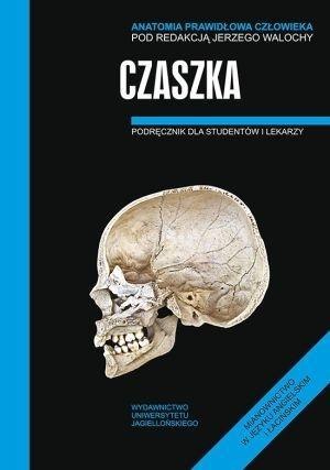 Anatomia prawidłowa człowieka. Czaszka