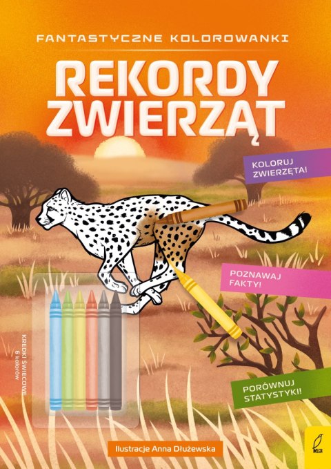 Rekordy zwierząt. Fantastyczne kolorowanki