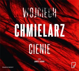 Cienie audiobook Wojciech Chmielarz