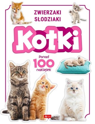 Kotki