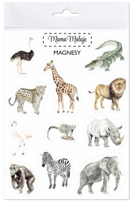 Magnesy Zwierzęta Afryki