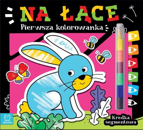 Pierwsza kolorowanka. Na łące. Kredka segmentowa Pierwsza kolorowanka. Na łące. Kredka segmentowa