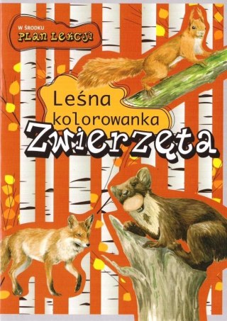 Leśna kolorowanka. Zwierzęta