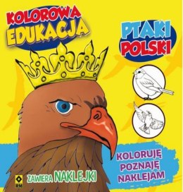 Kolorowa edukacja - Ptaki Polski w.2016