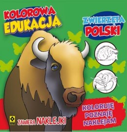 Kolorowa edukacja - Zwierzęta Polski w.2016