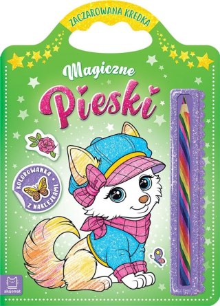 Magiczne pieski. Kolorowanka z naklejkami