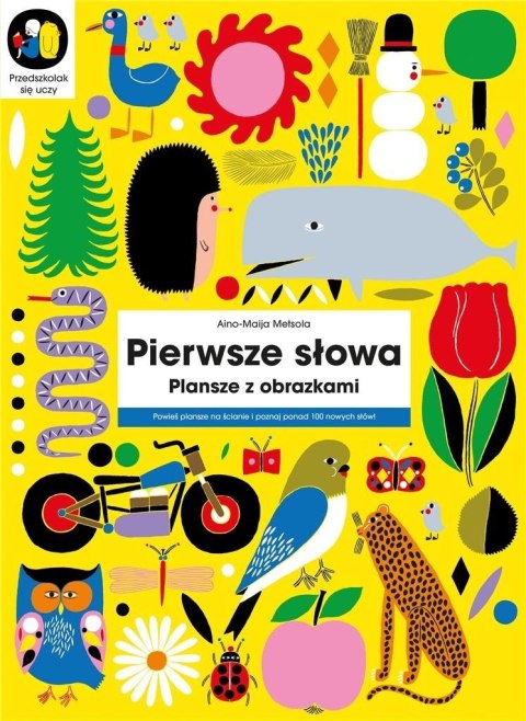 Pierwsze słowa. Plansze z obrazkami Pierwsze słowa. Plansze z obrazkami
