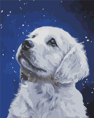 Malowanie po numerach - Labrador 40x50cm