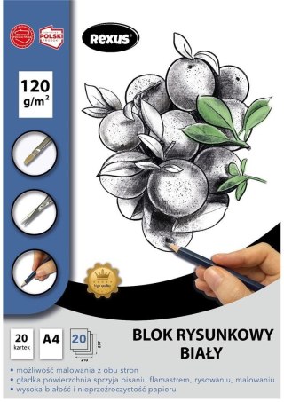 Blok rysunkowy A4/20K biały Premium