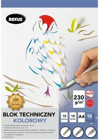 Blok techniczny A4/10K kolorowy Premium