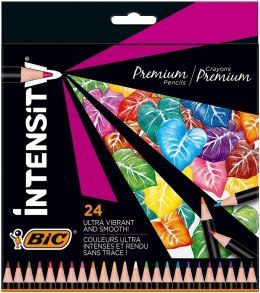 Kredki ołówkowe Intensity Premium 24 kolory BIC