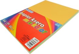 Papier ksero A4/100K pastelowy mix