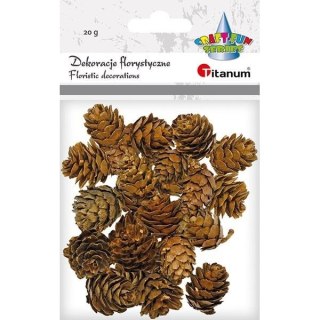 Szyszki mix rozmiarów brązowe 20g