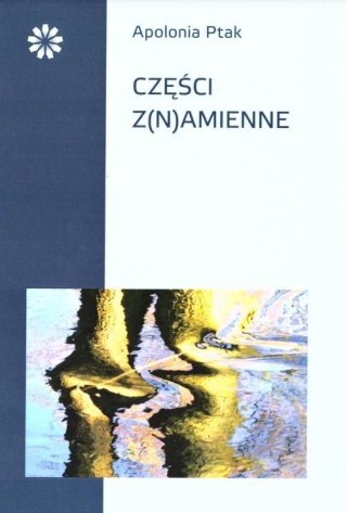 Części z(n)amienne