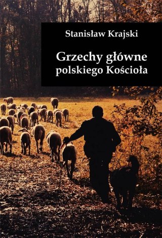 Grzechy główne polskiego Kościoła