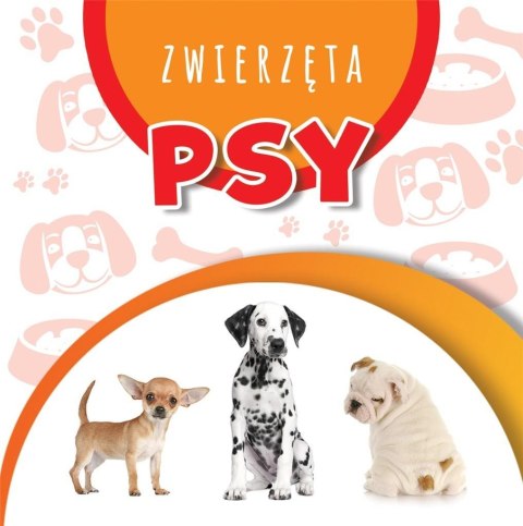 Wstęgi kartonowe. Psy