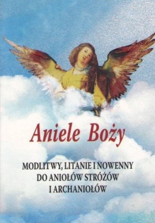 Aniele Boży. Modlitwy, litanie i nowenny do...