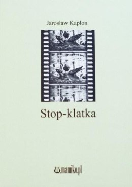Stop-klatka