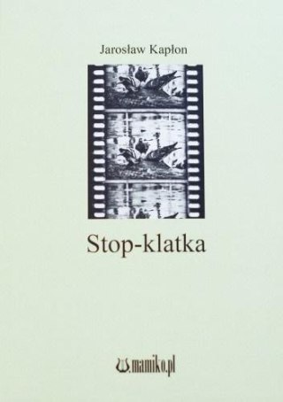 Stop-klatka