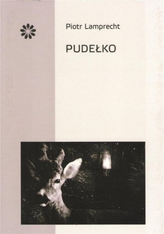 Pudełko