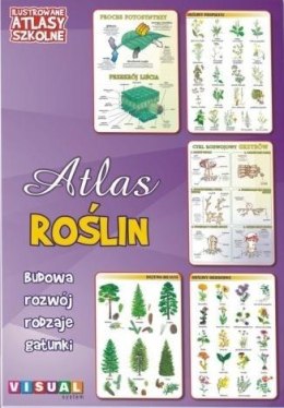 Ilustrowany atlas szkolny. Atlas roślin