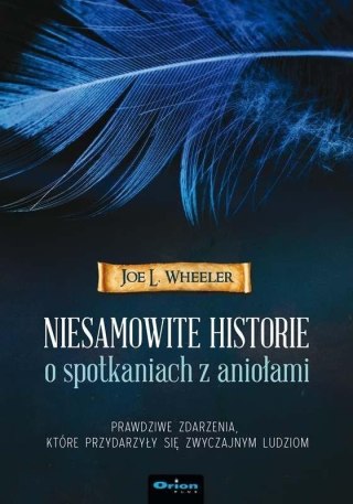 Niesamowite historie o spotkaniach z aniołami