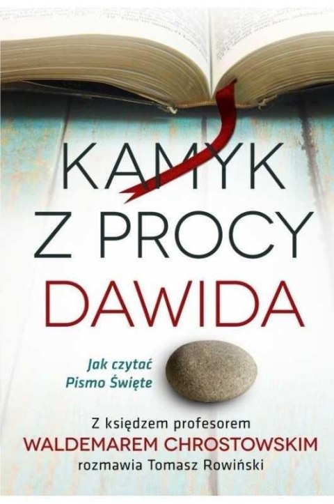 Kamyk z procy Dawida. Jak czytać Pismo Święte?