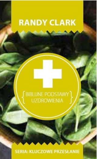 Kluczowe przesłanie. Biblijne podstawy uzdrowienia