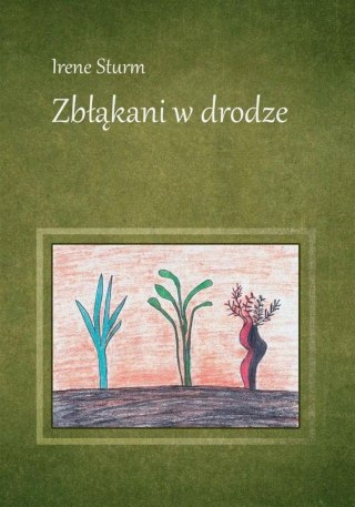 Zbłąkani w drodze