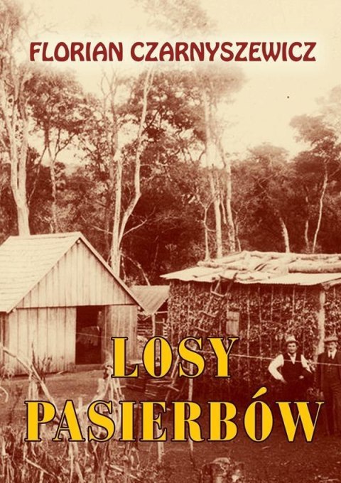 Losy pasierbów Losy pasierbów