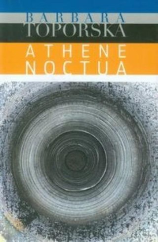 Athena noctua