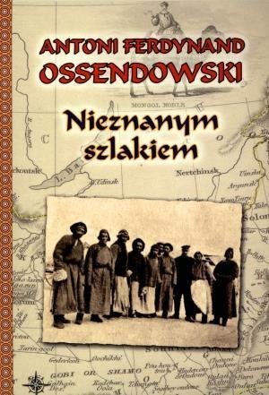 Nieznanym szlakiem. Nowele w.2011