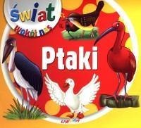 Świat wokół nas - Ptaki LIWONA