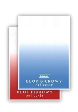 Blok biurowy A5/100K kratka (5szt)