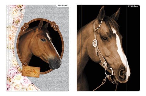 Teczka z gumką A4 Horses Teczka z gumką A4 Horses