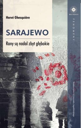 Sarajewo Rany są nadal zbyt głębokie